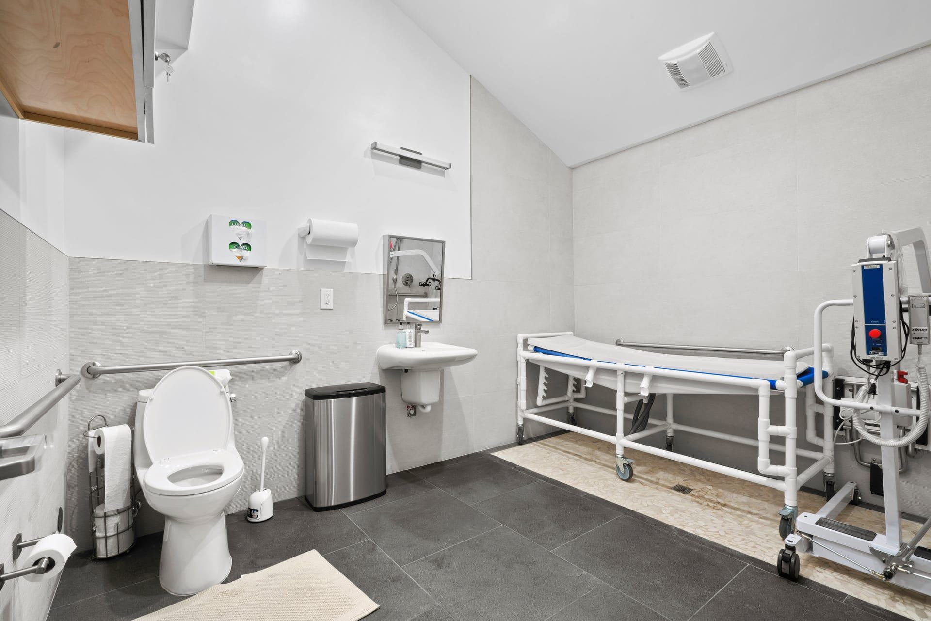 Wheelchair accessible bathroom with roll in shower and grab bars novato